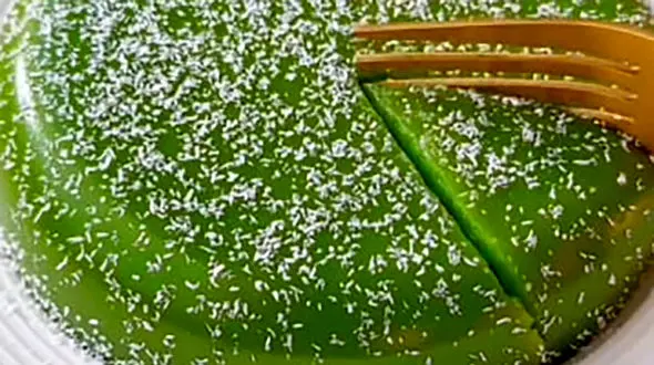 آموزش یک دسر متفاوت؛ دسر خیار + فیلم