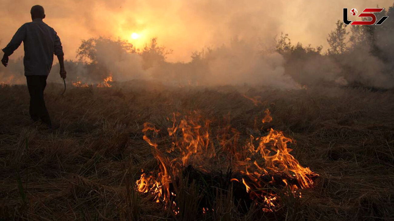 لزوم خودداری کشاورزان از سوزاندن بقایای گیاهی