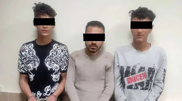 این جغدهای شبگرد را می شناسید ؟!  / هیچ رحمی نداشتند