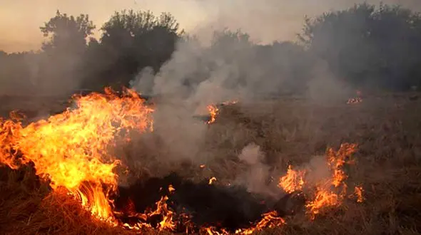 جریمه نقدی و حبس در کمین کشاورزان متخلف
