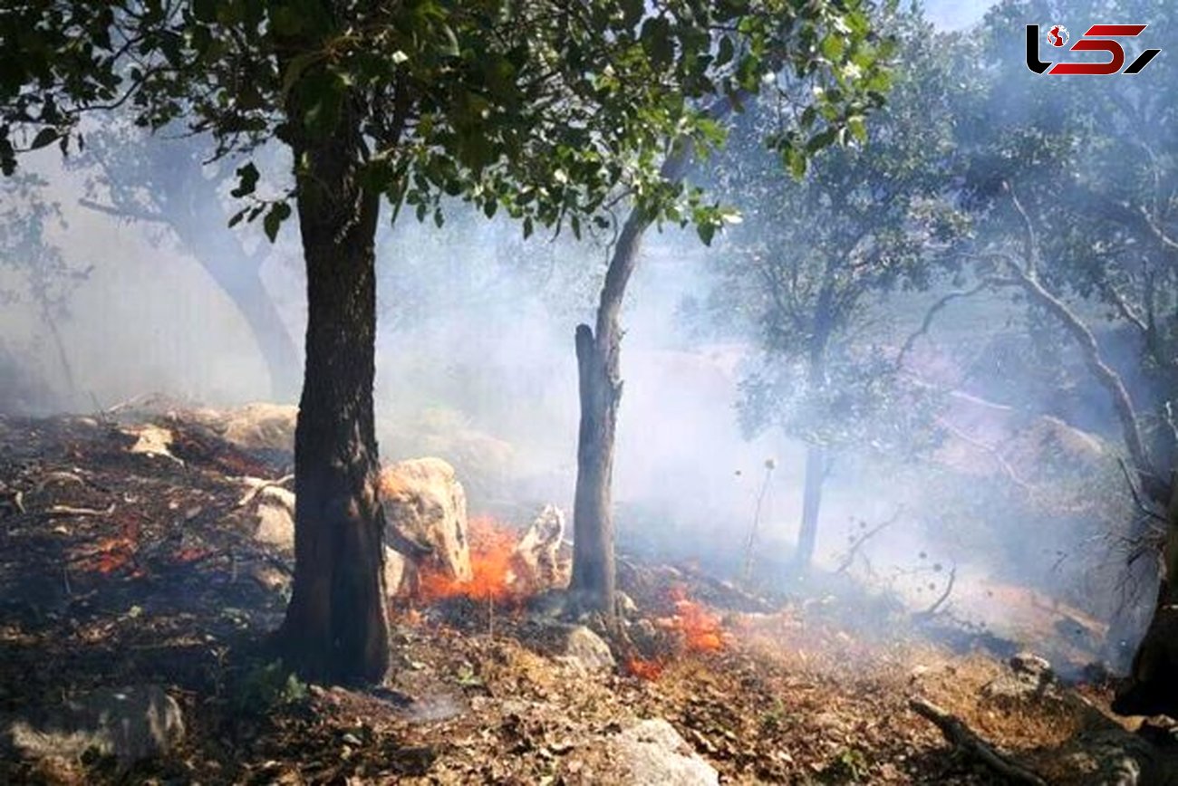 آتش سوزی در جنگل های شرق گلستان + فیلم و عکس 