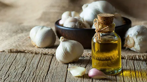 5 روش کاهش وزن با سیر 
