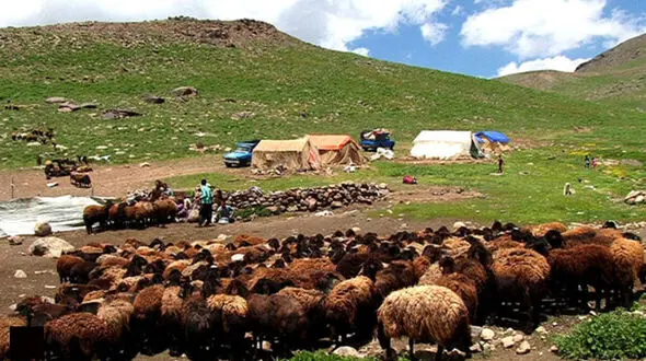 عبور عشایر از بحران نهاده‌های دامی / تسهیلات مالی با تکیه بر دارایی‌های تعاونی‌ها
