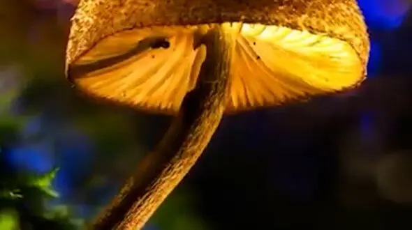 از خلاقیت عکاسی و آزمایش مقاومت اجسام با دستگاه پرس
