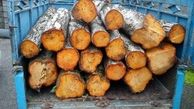  کشف ۶ تن چوب قاچاق در شهرستان شوش 