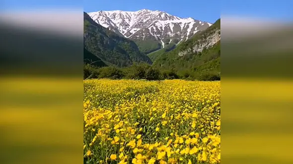 سفری کوتاه به شمال زیبا + فیلم