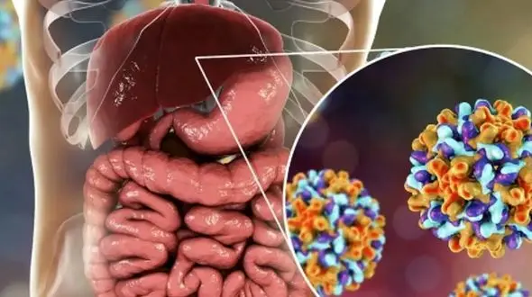 هپاتیت B و یرقان: تفاوت‌ ها و نکات پزشکی که باید بدانید