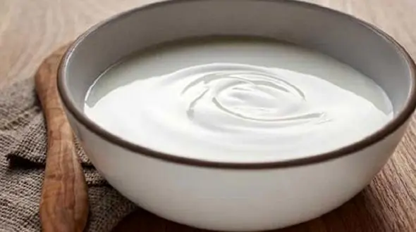 ماست بخورید صدها سال بیشتر عمر کنید