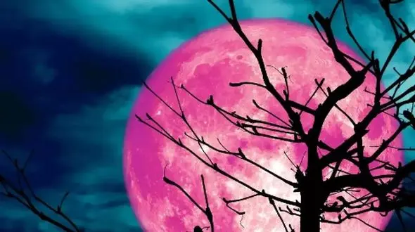 رخدادی عجیب؛ ماه صورتی می‌ شود، آسمان در تعجب