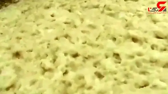 تصاویری باورنکردنی از سیل کف در کاتالونیا + فیلم