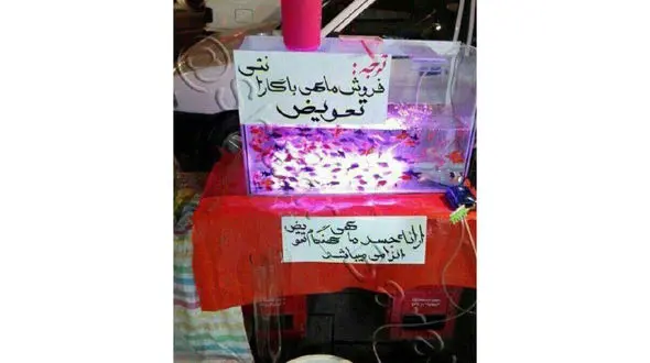 فروش ماهی نوروز با گارانتی تعویض! / ارایه جسد ماهی الزامیست! + عکس