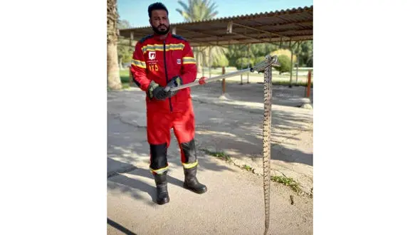 مار خطرناک بزرگ در دانشگاه چمران + عکس