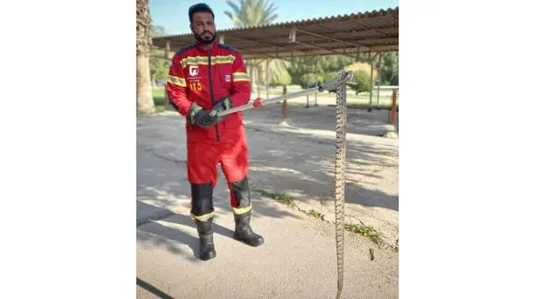 مار خطرناک بزرگ در دانشگاه چمران + عکس