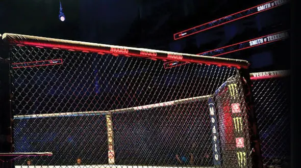 مبارزه در قفس در ایران آزاد شد / زنان هم می توانند! + جزییات