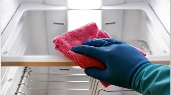 ترفندهای ریز خانه داری برای رفع بوی بد یخچال