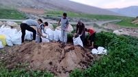 طرح خلاقانه معلم خوزستانی با ایجاد کمربند سبز در حاشیه جاده + عکس ها