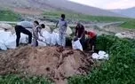 طرح خلاقانه معلم خوزستانی با ایجاد کمربند سبز در حاشیه جاده + عکس ها
