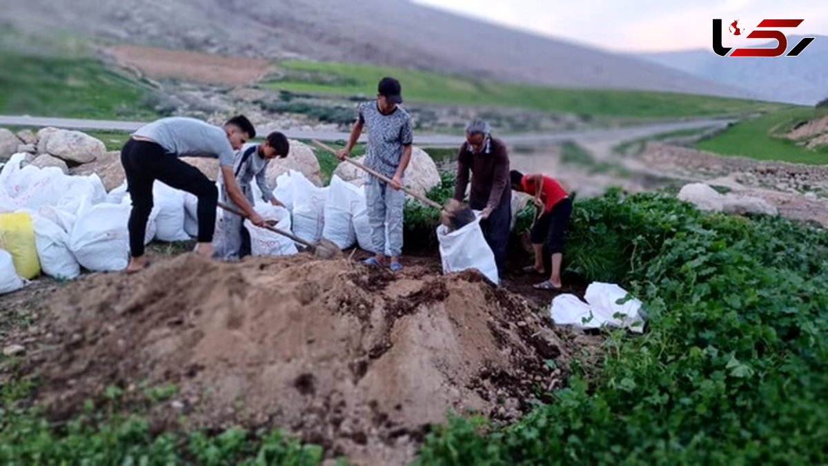 طرح خلاقانه معلم خوزستانی با ایجاد کمربند سبز در حاشیه جاده + عکس ها