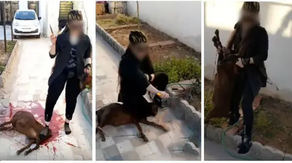 جولان خانم‌ قصاب های تهرانی با ذبح وحشیانه حیوانات / فقط 500 هزار تومان + عکس ها 