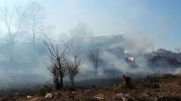 آتش سوزی سردخانه در املش گیلان + فیلم 