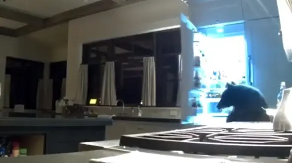 وحشت دختر و پسرها از دیدن موجودی ترسناک در پارتی مختلط در شب +عکس 