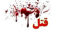 ببینید / فیلم دردناک از قتل یک جوان در درگیری خیابانی