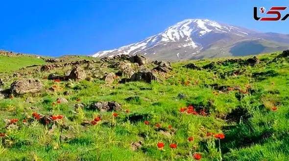 مهم ترین اخبار 24ساعت گذشته مازندران