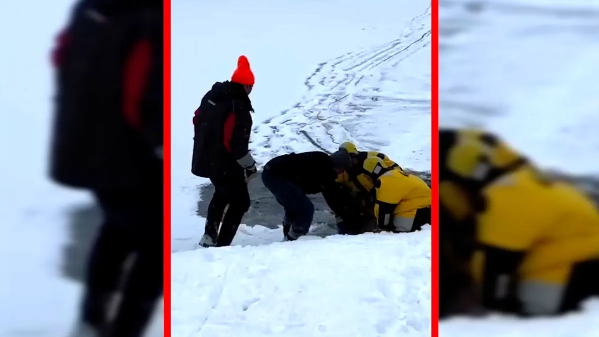 فیلم نجات گوزن گرفتار در یخ زده دریاچه