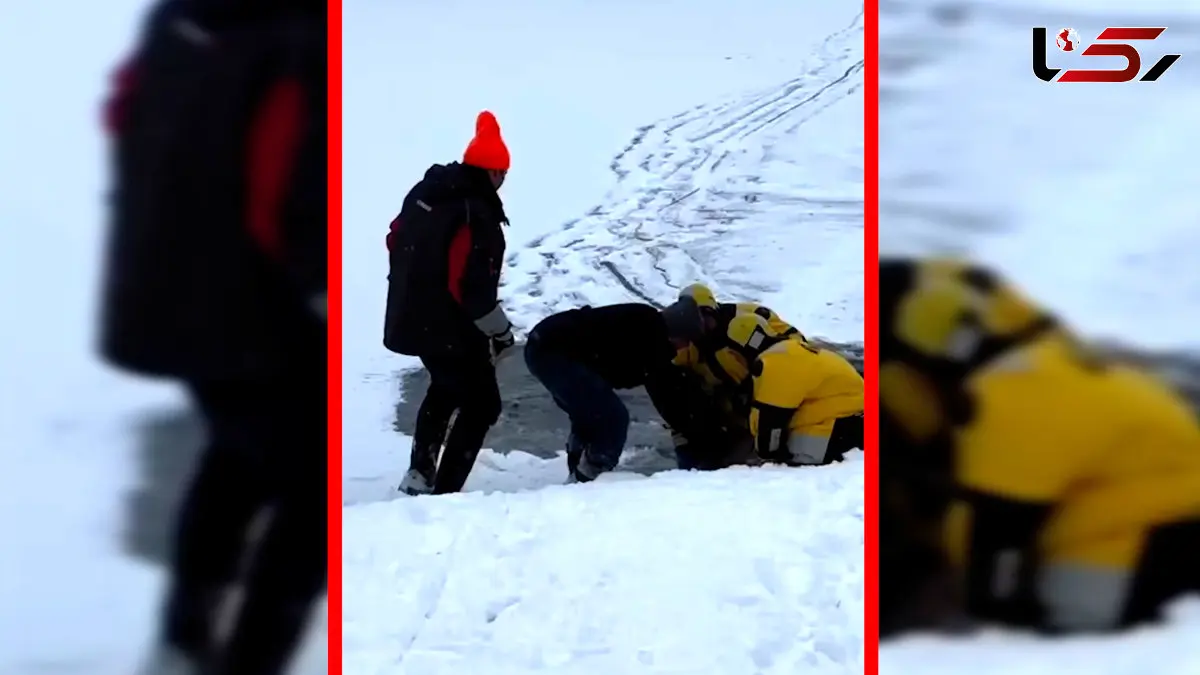 فیلم نجات گوزن گرفتار در یخ زده دریاچه