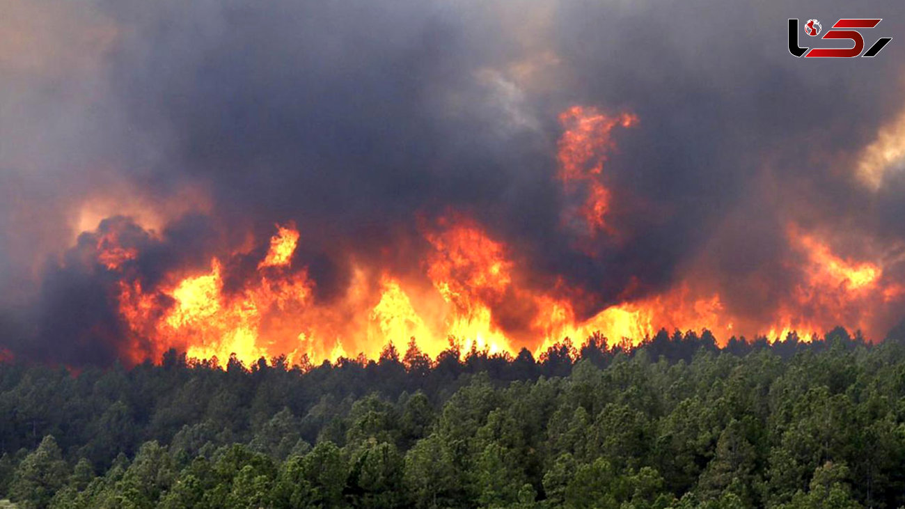 ببینید |/  اولین تصاویر از آتش‌سوزی هولناک در پرتغال /  مردم منطقه در حال تخلیه