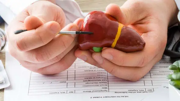 معجون تابستانی برای کبد چرب / همه باید امتحان کنند!