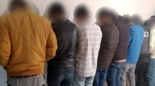 این 10 سارق زاغ خانه باغ های روستایی گلپایگان را می زدند