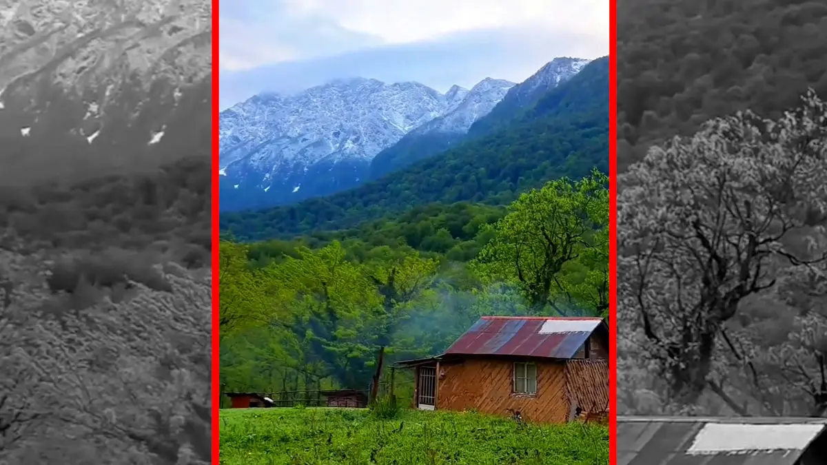 فیلم آرامش در قلب بهشت جنگل های هیرکانی درفک جان