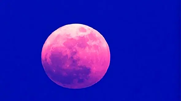 سه شنبه آینده ماه صورتی را از دست ندهید