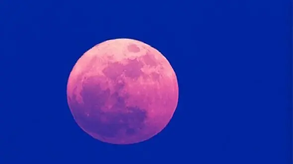 سه شنبه آینده ماه صورتی را از دست ندهید