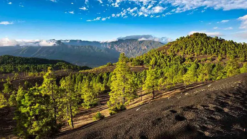 جزیره