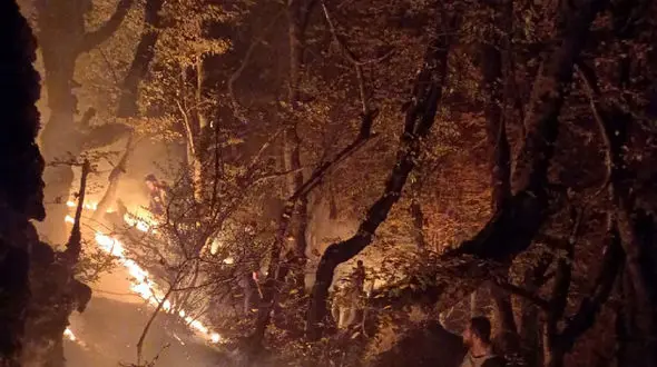 آتش سوزی جنگل های شمام رستم آباد