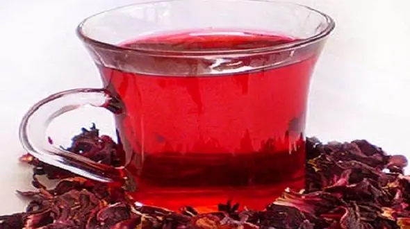 نسخه های گیاهی برای کاهش وزن