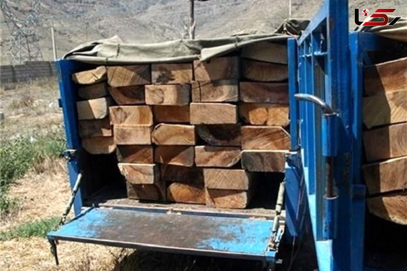  ۱۴ تن چوب قاچاق کشف شد