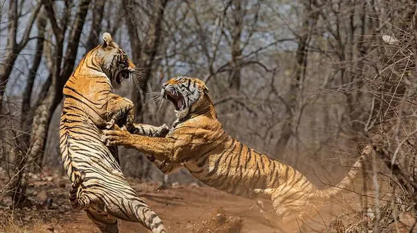 درگیری وحشتناک مادر و دختر در مقابل دوربین + عکس