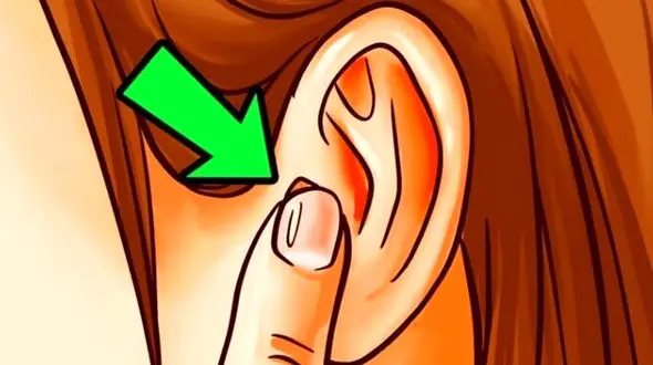 فواید ماساژ گوش: راهی آسان برای افزایش انرژی و سلامتی