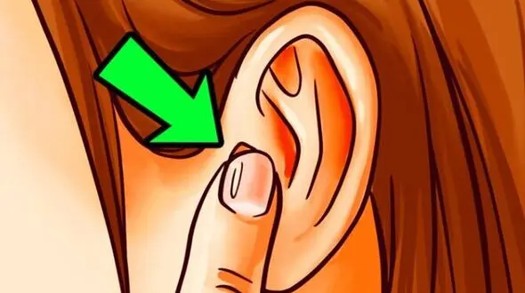 فواید ماساژ گوش: راهی آسان برای افزایش انرژی و سلامتی
