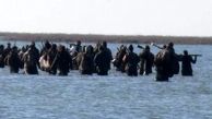 یورش دوباره 50 شکارچی نقابدار به آشوراده / محیط بانان پرندگان مهاجر را فراری دادند/ لزوم ورود نیروهای امنیتی