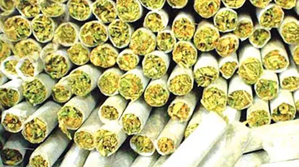 در ایران 440 نوع ماده مخدر وجود دارد / آیا مواد مخدر جدیدی در راه است؟