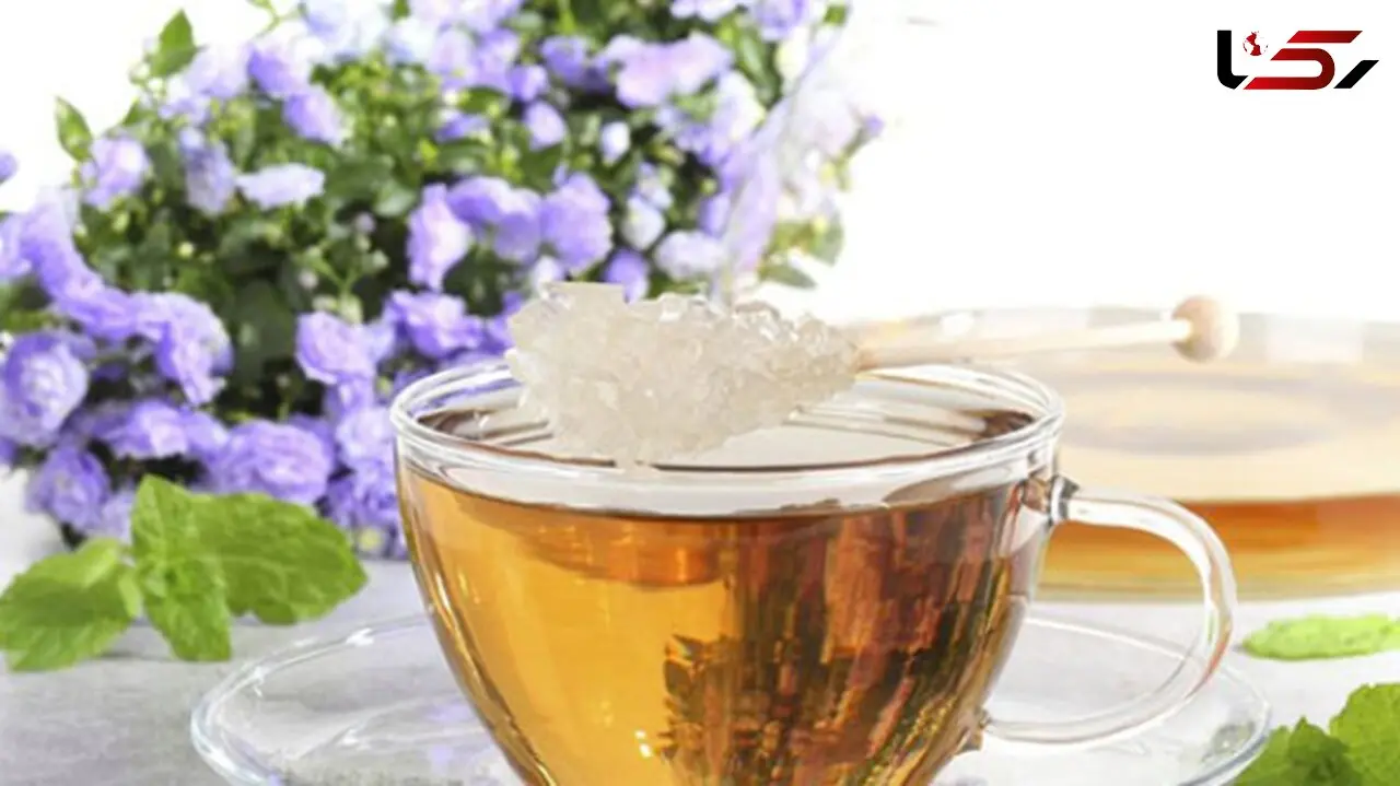 کدام نوشیدنی برای سلامتی در صبح، عصرانه و شب مناسب‌تر است؟ رازهایی که نمی‌دانید!