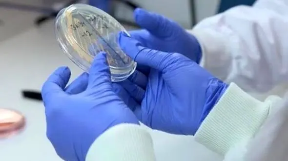 کشتن میکروب ها در 5 دقیقه با این دستکش جدید