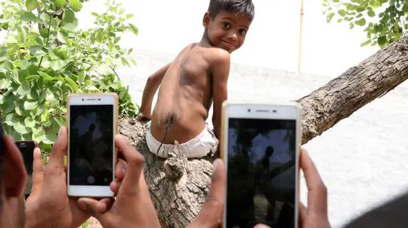 پرستش پسرک دم‌دار به عنوان شاه میمون‌ها! + فیلم / هند