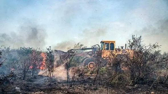 میانکاله فقط 2 تراکتور برای مقابله با آتش دارد / کشت ماری جوآنا، یکی از دلایل حریق عمدی در میانکاله + فیلم