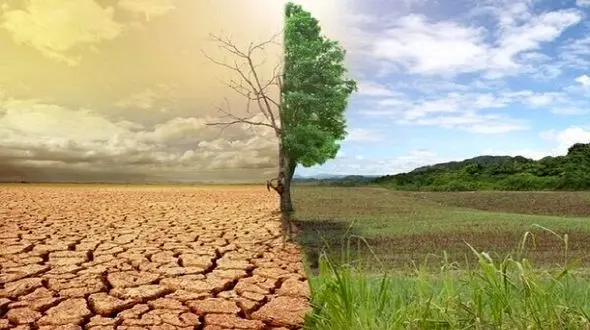 تیشه گرانی ها بر ریشه طبیعت ایران / 3 میلیون و 200 هزار روستایی در معرض مهاجرت