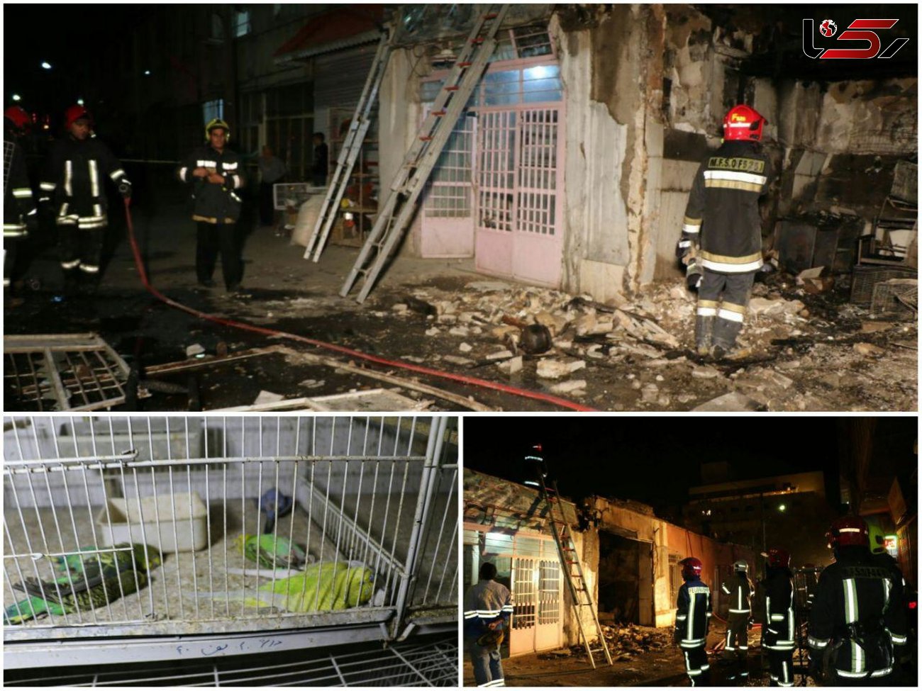 مرگ پرندگان در اثر انفجار مغازه در مشهد 